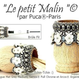 Le Petit Malin Par Puca